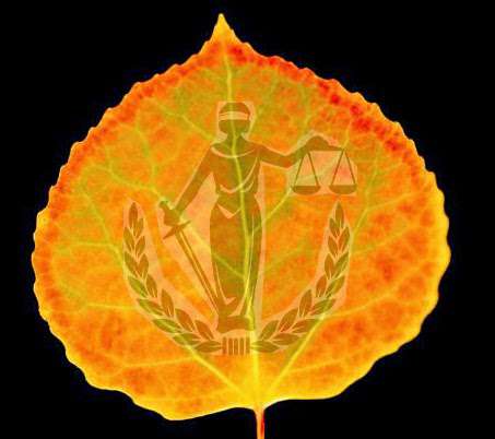 The Law Office of Gregory S. Gordon, LLC The Law Office of Gregory S. Gordon, LLC
